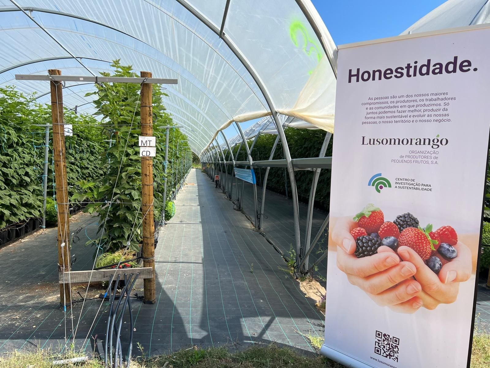 Lusomorango apela ao Governo para que reconsidere o encerramento da Conservatória do Registo Predial de Odemira