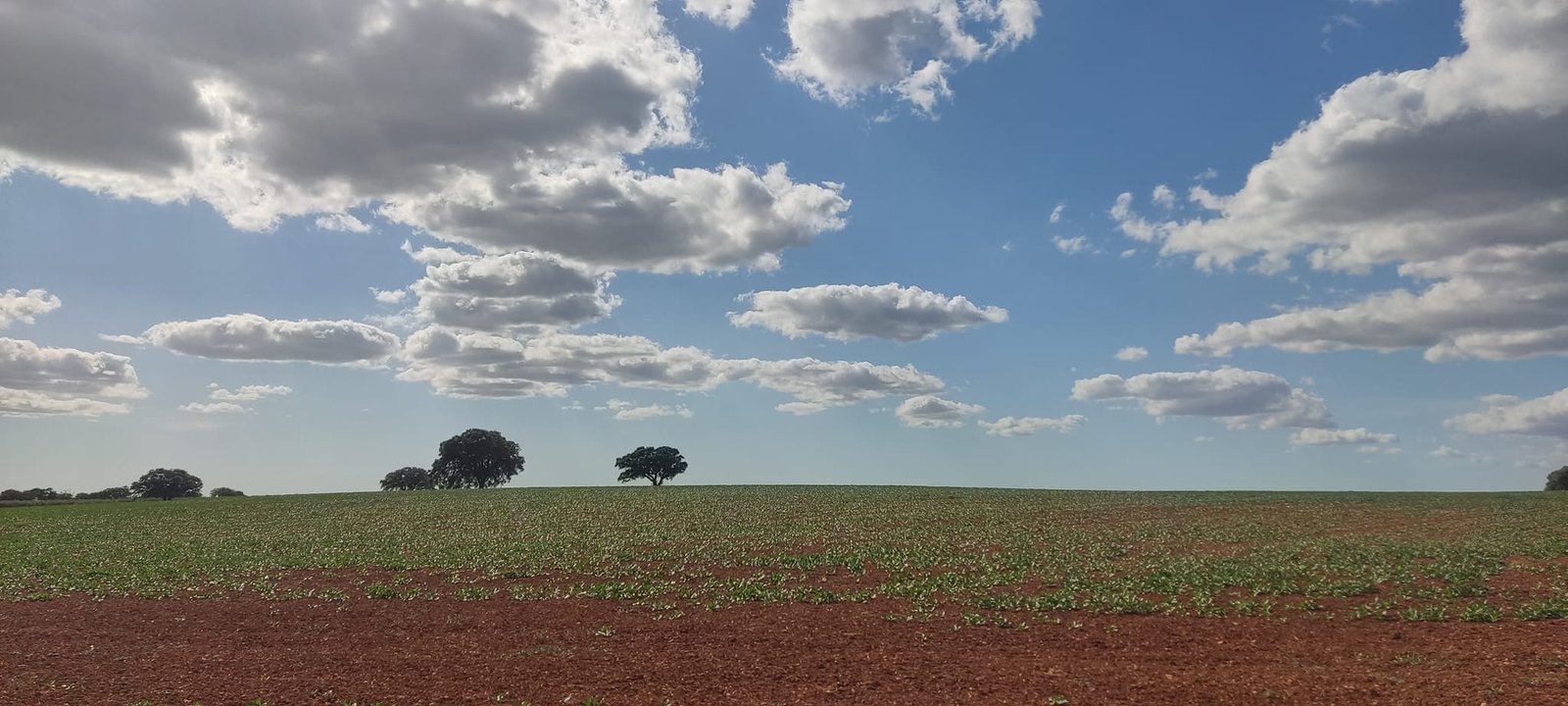 “A região e o país continuam a viver uma situação de subdesenvolvimento” diz Manuel Valadas