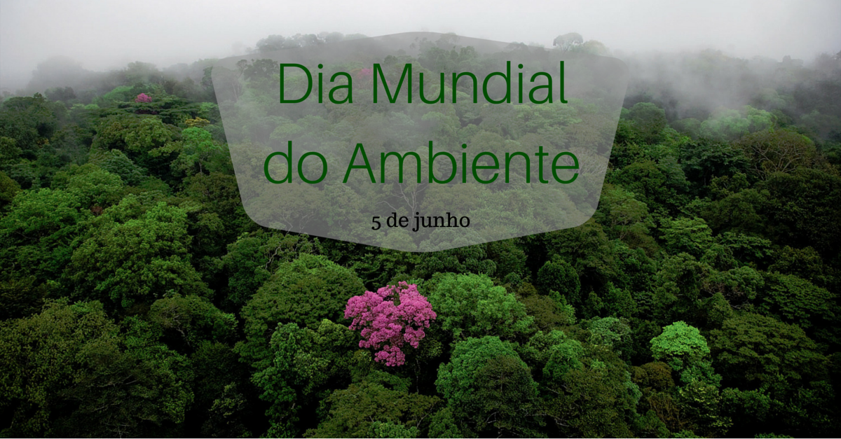 Dia Mundial do Ambiente celebra-se esta quinta feira e tem como tema central os plásticos