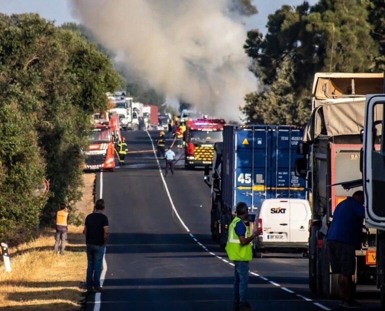 Incêndio em camião carregado de madeira corta EN121 próximo de Beringel