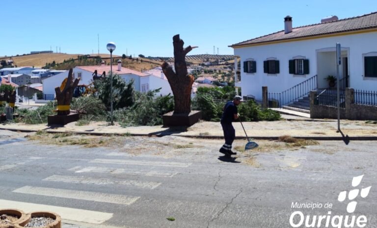 Município de Ourique anuncia rearborização após obra de pavimentação