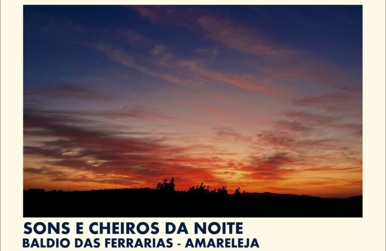 Moura realiza experiência sensorial noturna com caminhada “Sons e Cheiros da Noite”