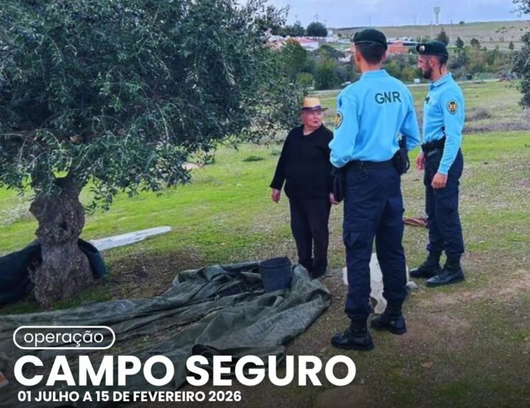 GNR apreende cerca de 9 toneladas de produtos agrícolas na Operação Campo Seguro 2025