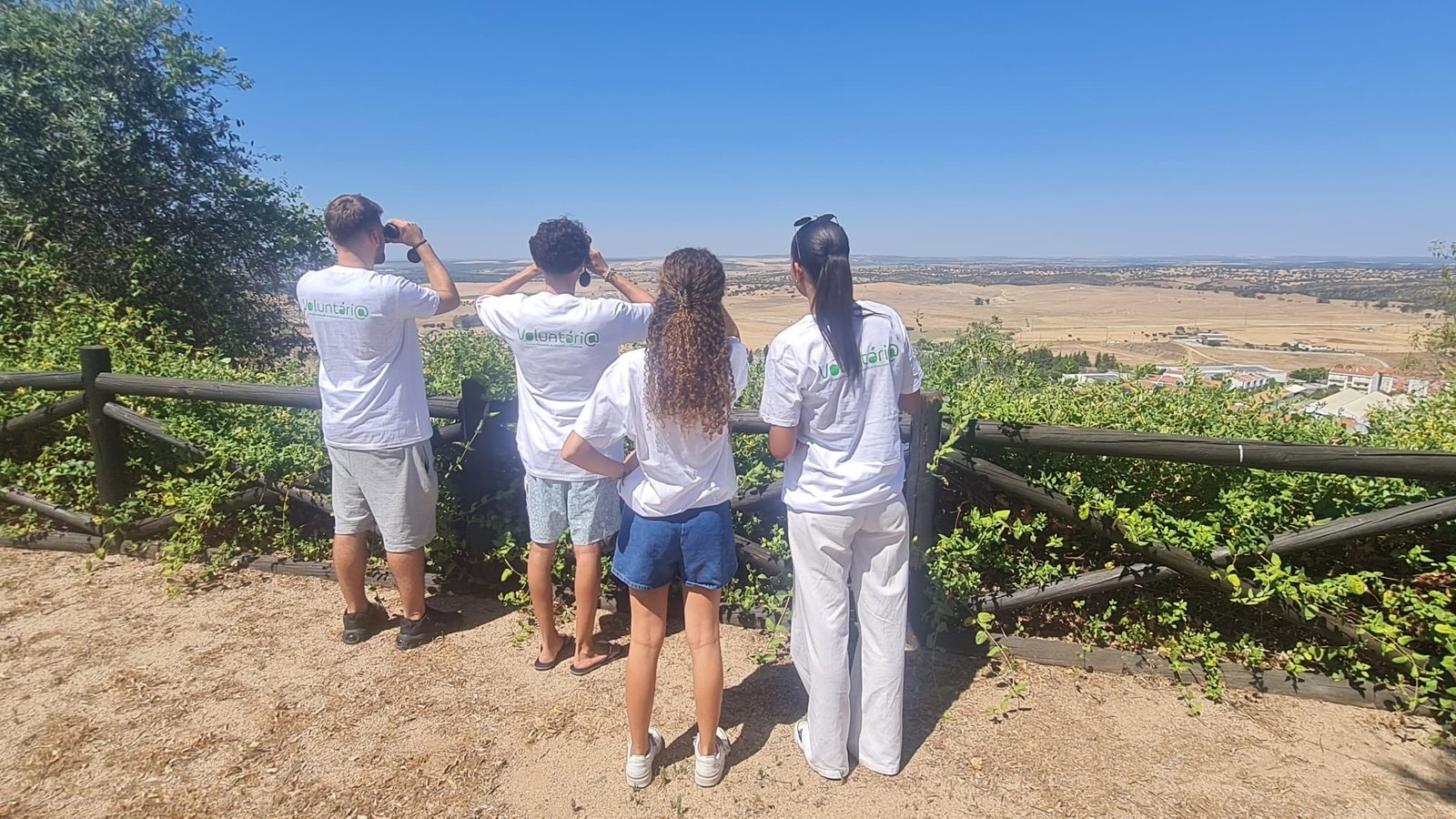Aljustrel: Programa “Voluntariado Jovem para a Natureza e Florestas” arrancou ontem