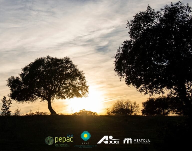 Mértola recolhe contributos para a implementação do Plano Estratégico da Política Agrícola Comum