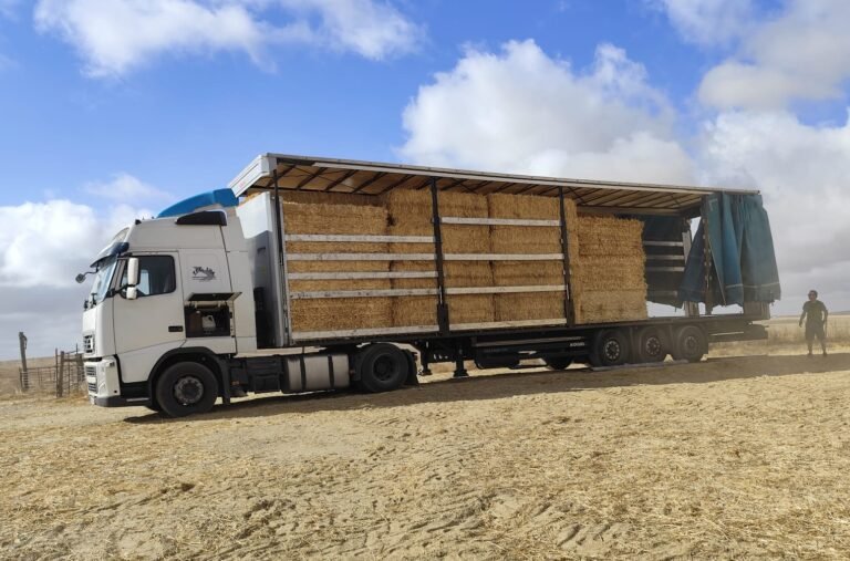Camião carregado de palha segue do concelho de Castro Verde para ajudar produtores das zonas afetadas pelos incêndios