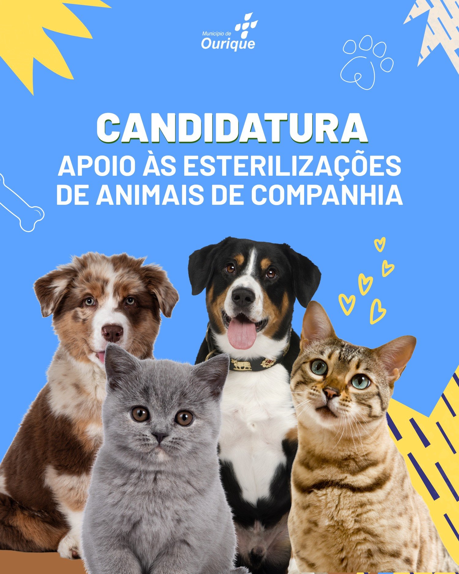 Ourique lança campanha de apoio à esterilização de animais de companhia