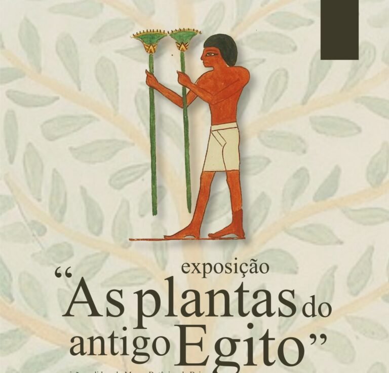 Moura recebe exposição “As Plantas do Antigo Egito” na Galeria do Espírito Santo
