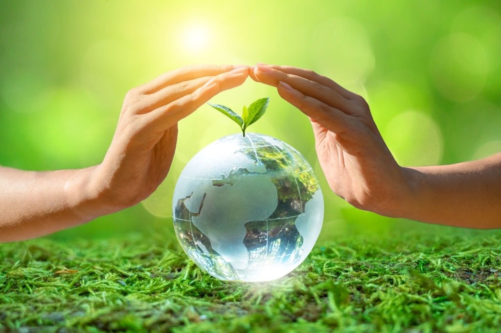 ZERO critica ausência de financiamento e metas claras na Estratégia de Conservação da Natureza e Biodiversidade