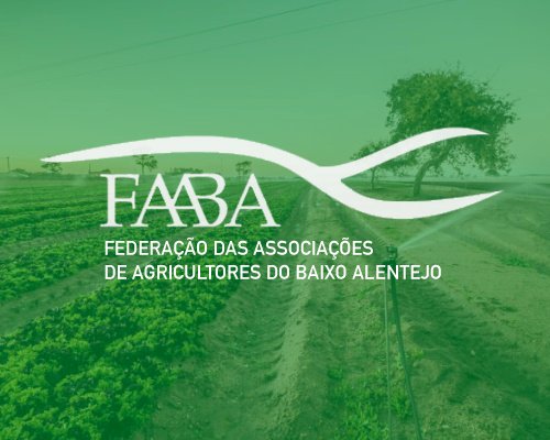 Agricultores do Baixo Alentejo escrevem ao Ministro a reclamar soluções para as consequências da doença da Língua Azul 