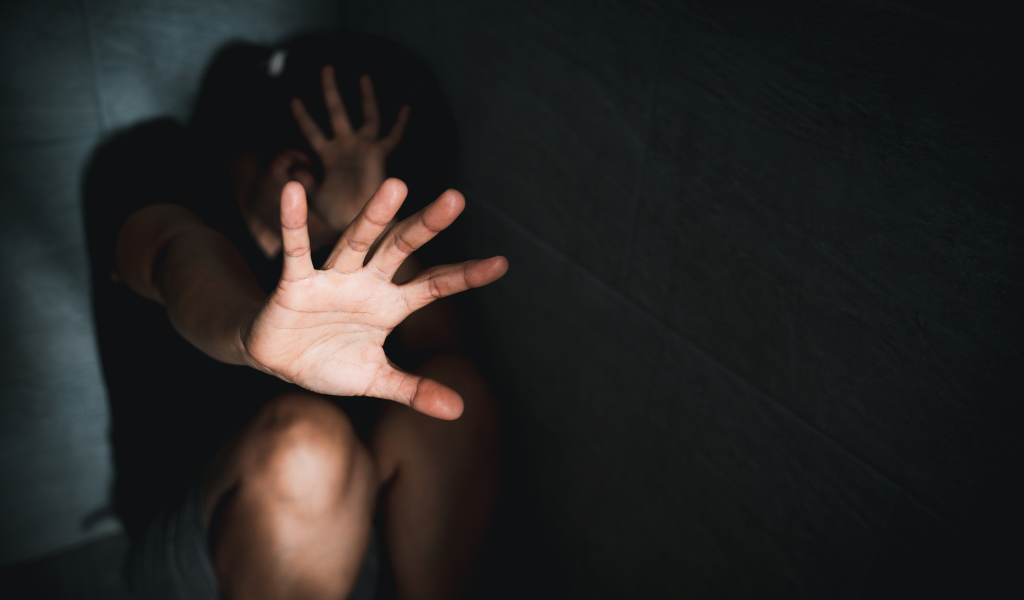 No distrito de Beja a violência sobre as mulheres “é no mínimo preocupante” alerta Lisa Ferro