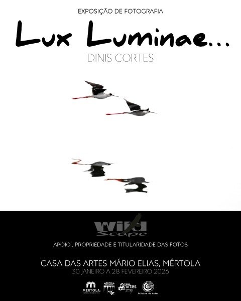 Exposição de fotografia de Dinis Cortes é inaugurada hoje em Mértola