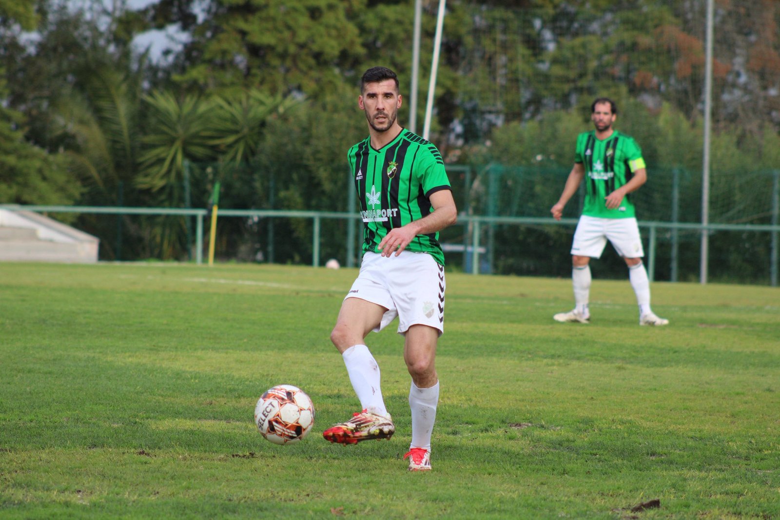 Aljustrelense e Castrense lutam ombro a ombro na liderança da 1ª Divisão distrital/Caixa Agrícola