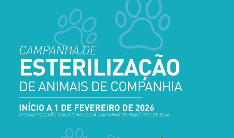 Câmara de Beja lança campanha de apoio à esterilização de animais de companhia