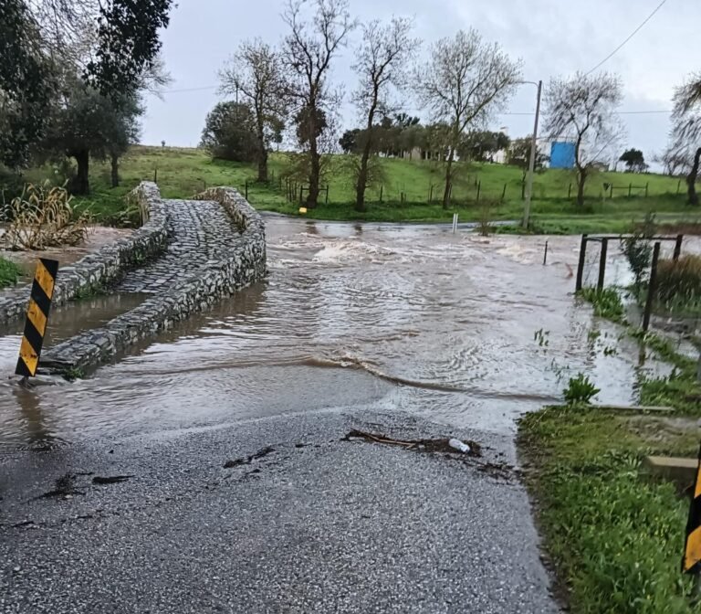 Alvito: Tempestade Joseph provoca cortes de trânsito e danos em Vila Nova da Baronia