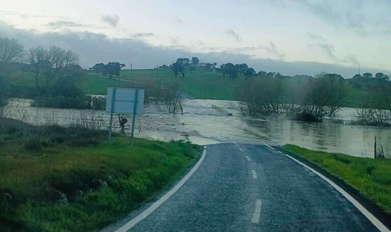 Depressão Marta provoca cortes de estradas e queda de estruturas no Baixo Alentejo