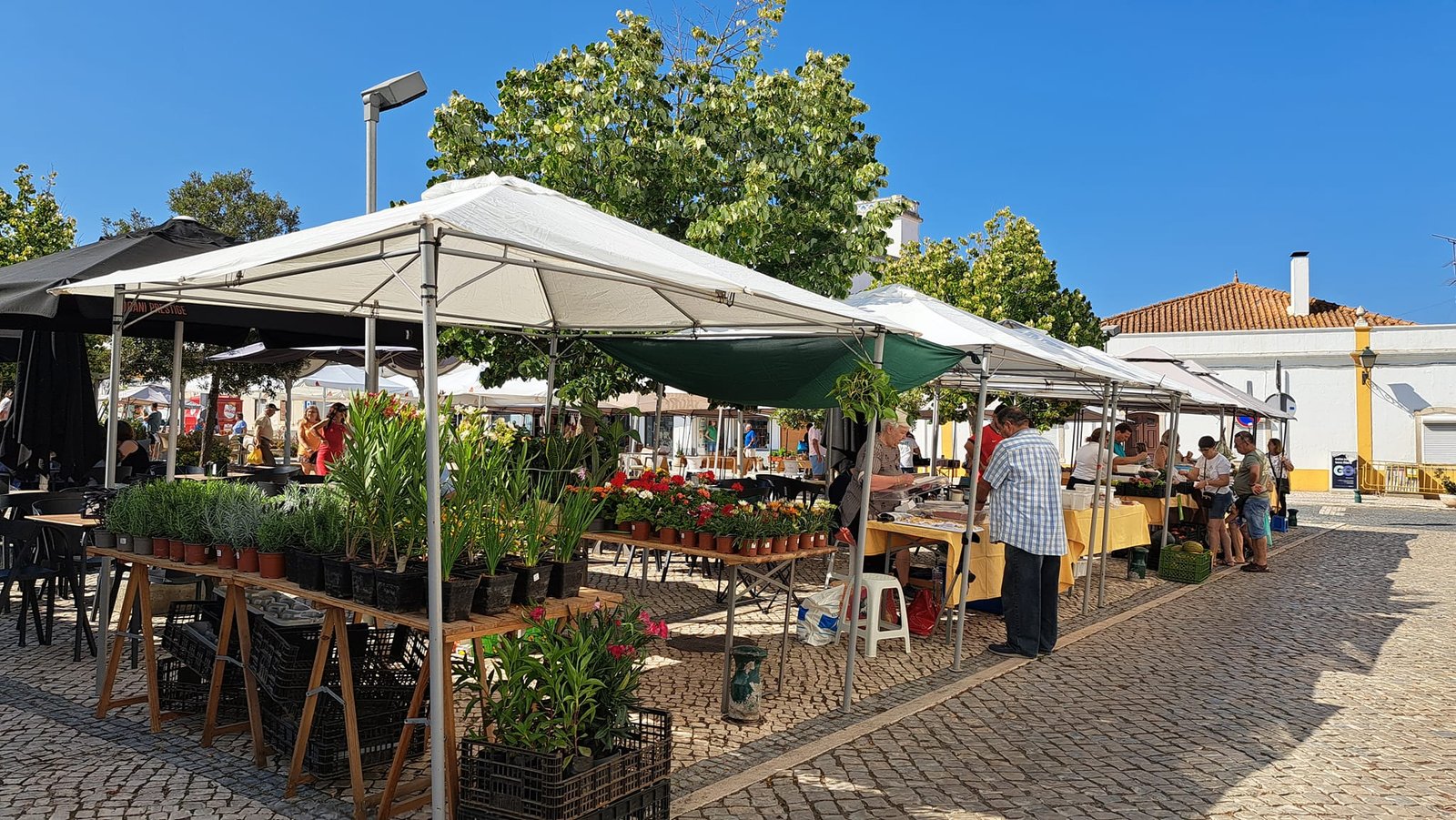 Castro Verde realiza mais um mercadinho neste sábado