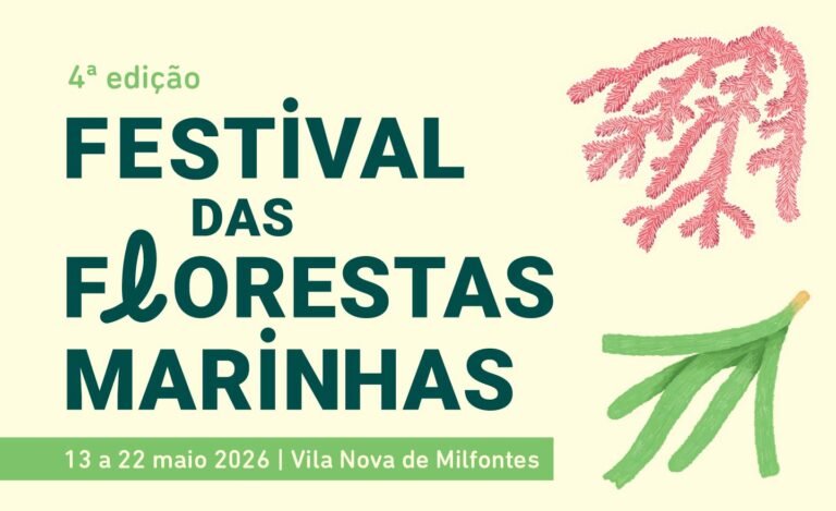 Odemira: Vila Nova de Milfontes recebe 4ª edição do Festival das Florestas Marinhas em maio