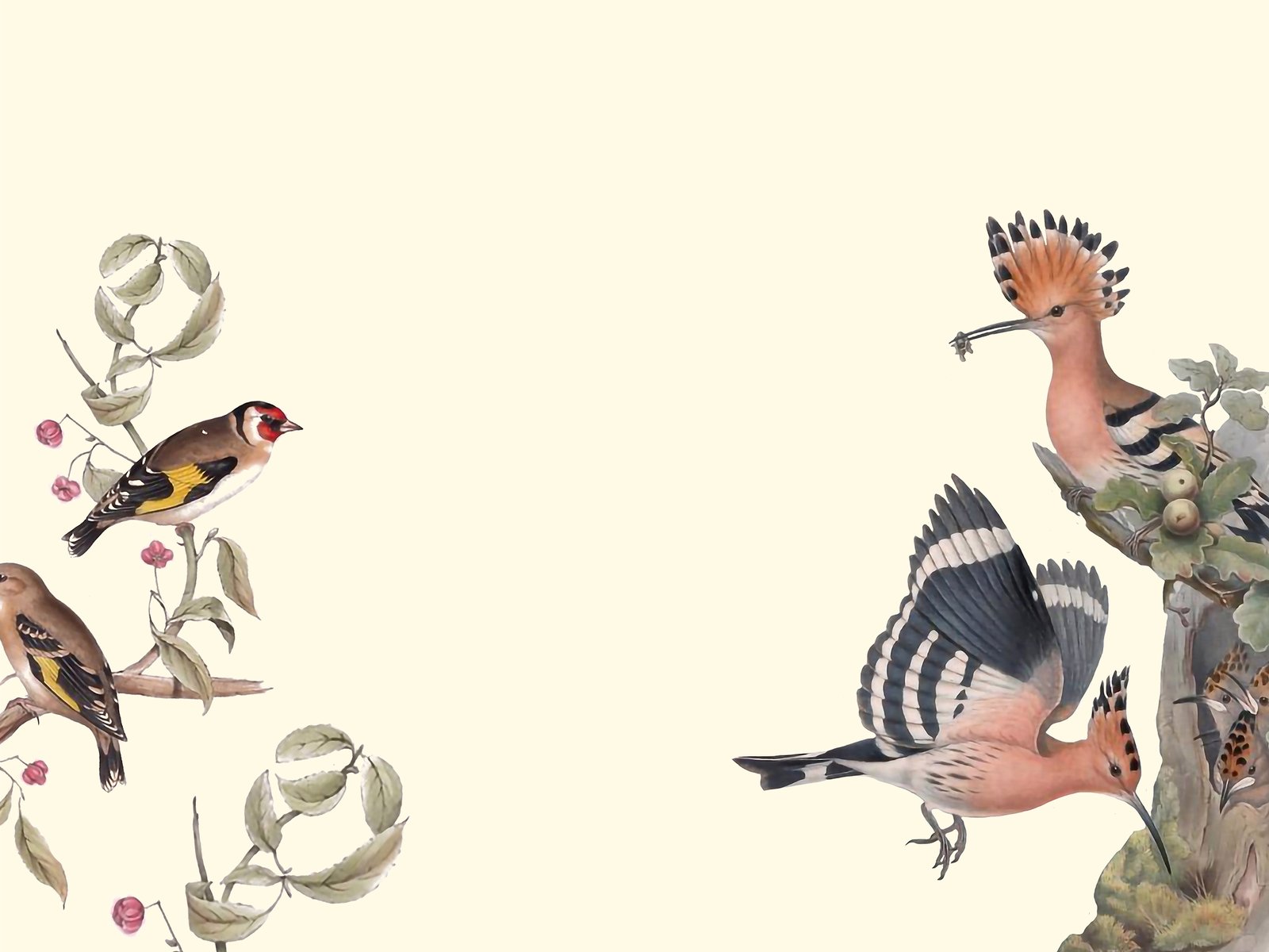 Projeto LIFE ScrubsNet promove Dia Aberto em herdade do Alentejo para mostrar soluções de gestão sustentável