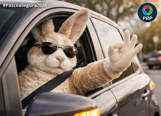 Prevenção Rodoviária lança campanha digital para viagens seguras na Páscoa