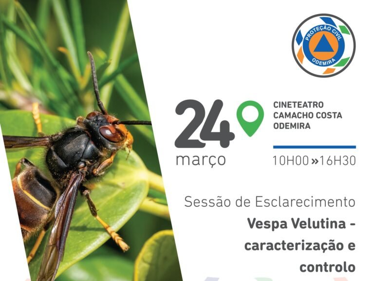 Odemira recebe sessão de esclarecimento sobre vespa velutina no Dia da Proteção Civil