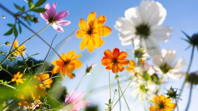 Primavera começa hoje e traz mudança para o horário de verão no final de março