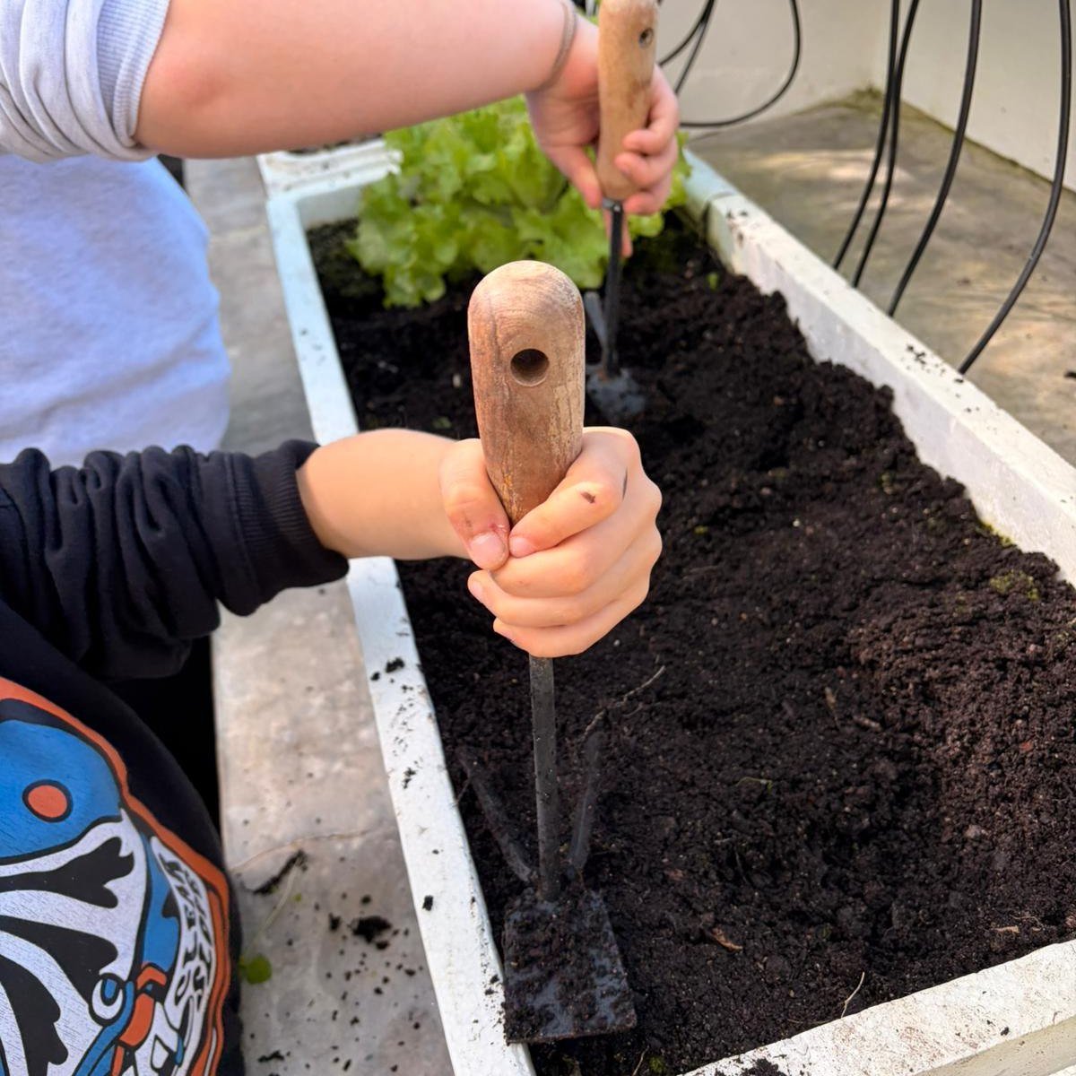 Beja promove atividades para crianças durante as férias da Páscoa