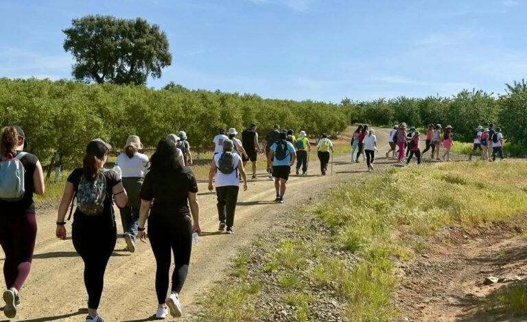 Caminhada “Caminhos da Liberdade” levou participantes até Baleizão