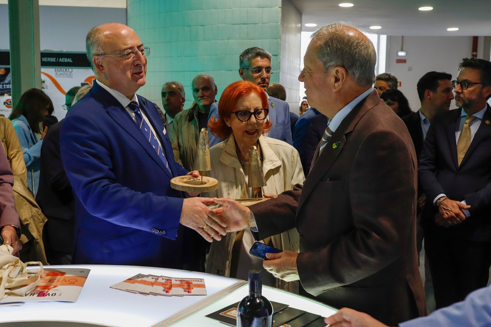 Doença da Língua Azul: Ministro da Agricultura defende “uma maior investigação” por parte da União Europeia