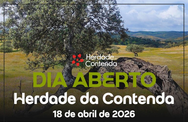 Herdade da Contenda promove Dia Aberto com atividades de património e natureza