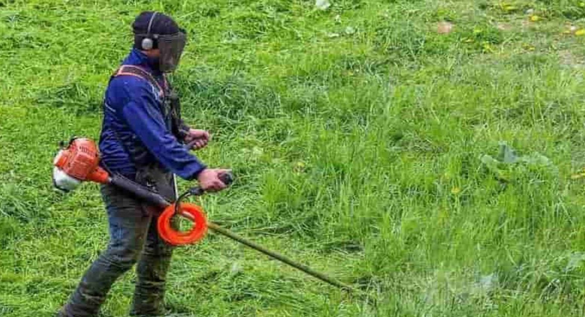 Juntas de freguesia querem contratar imigrantes para responder à falta de trabalhadores