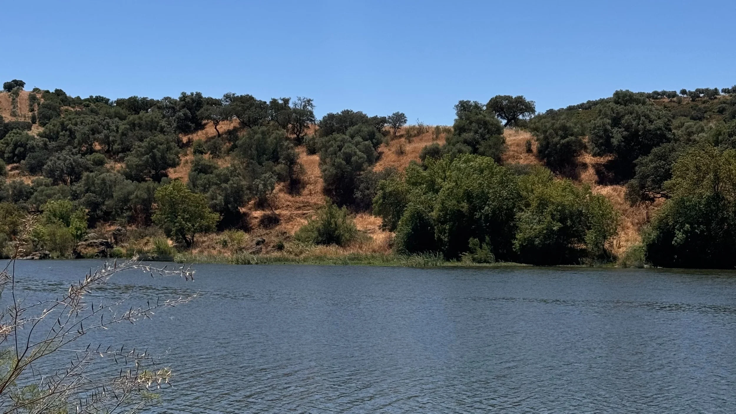 Projeto da Bio-região da Margem Esquerda do Guadiana aprovado no âmbito do Alentejo 2030