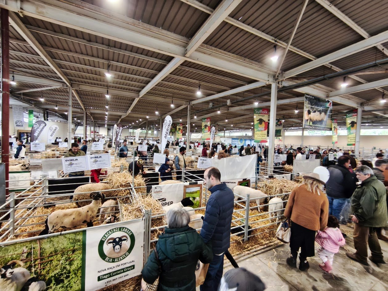 Ovibeja 2026: inovação agrícola, políticas europeias e debates estratégicos marcam a programação de hoje