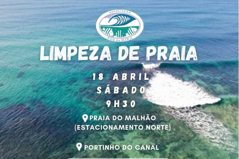 Odemira promove ação de limpeza das praias do Malhão Norte e Portinho do Canal