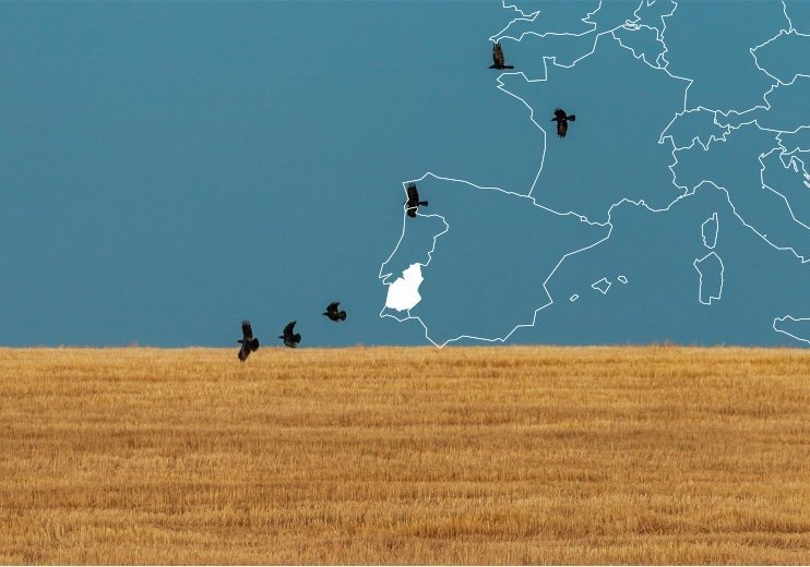 Alentejo e Ribatejo avançam para criação da primeira rede de alojamentos literários do país