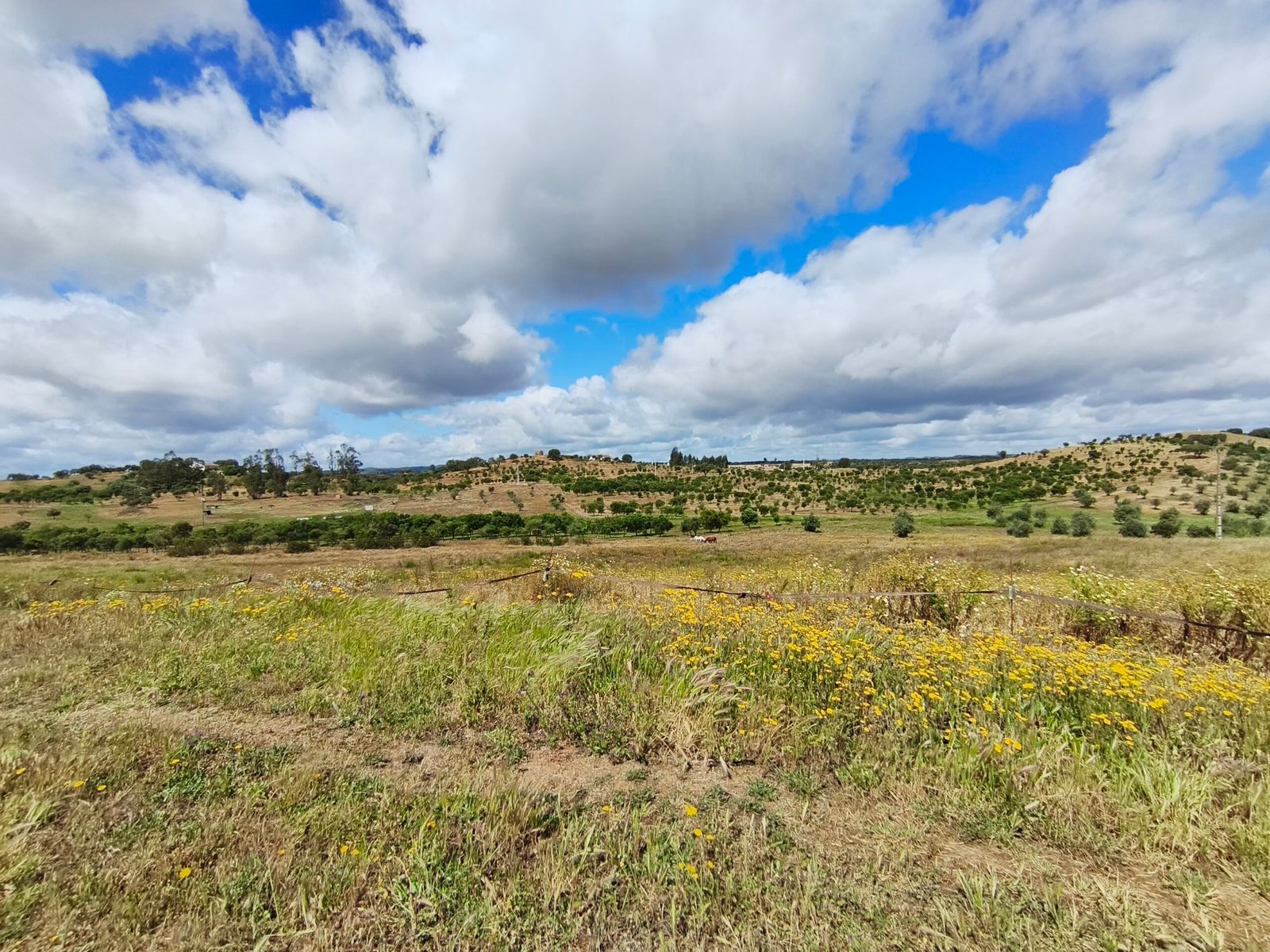 Alentejo lidera crescimento do turismo em abril com aumento de 8,4% nas dormidas