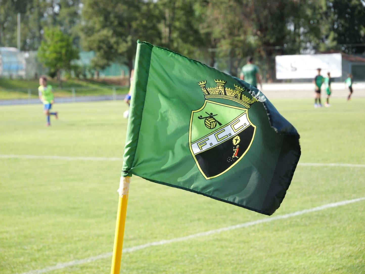 3.º Castrense Cup 2026 arrancou ontem em Castro Verde