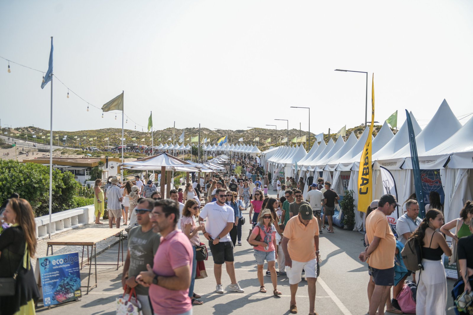 FEI-TUR regressa a Vila Nova de Milfontes de 11 a 14 de junho