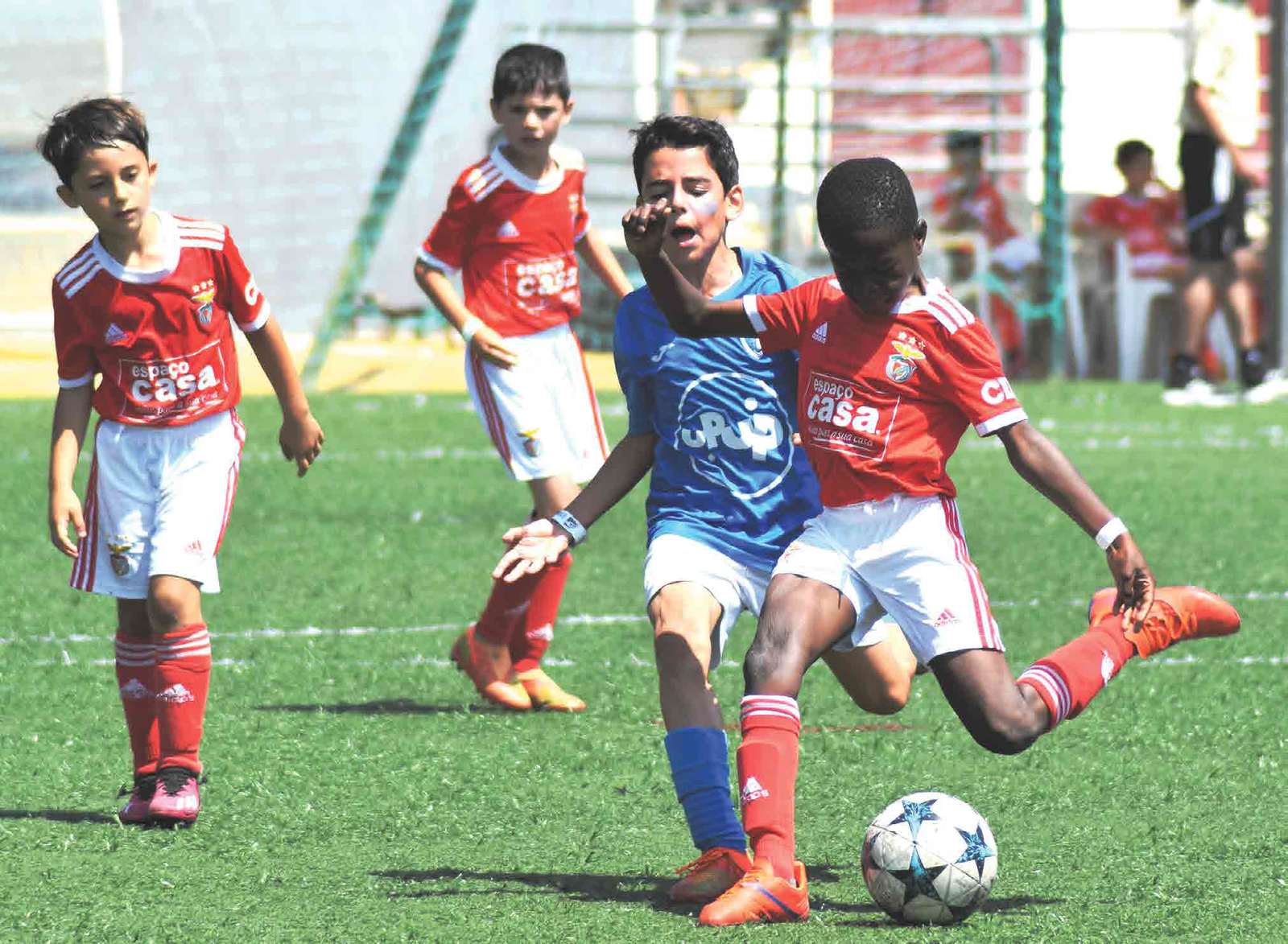 Mértola Cup 2023 - SLB vs Belenenses Firmino Paixão