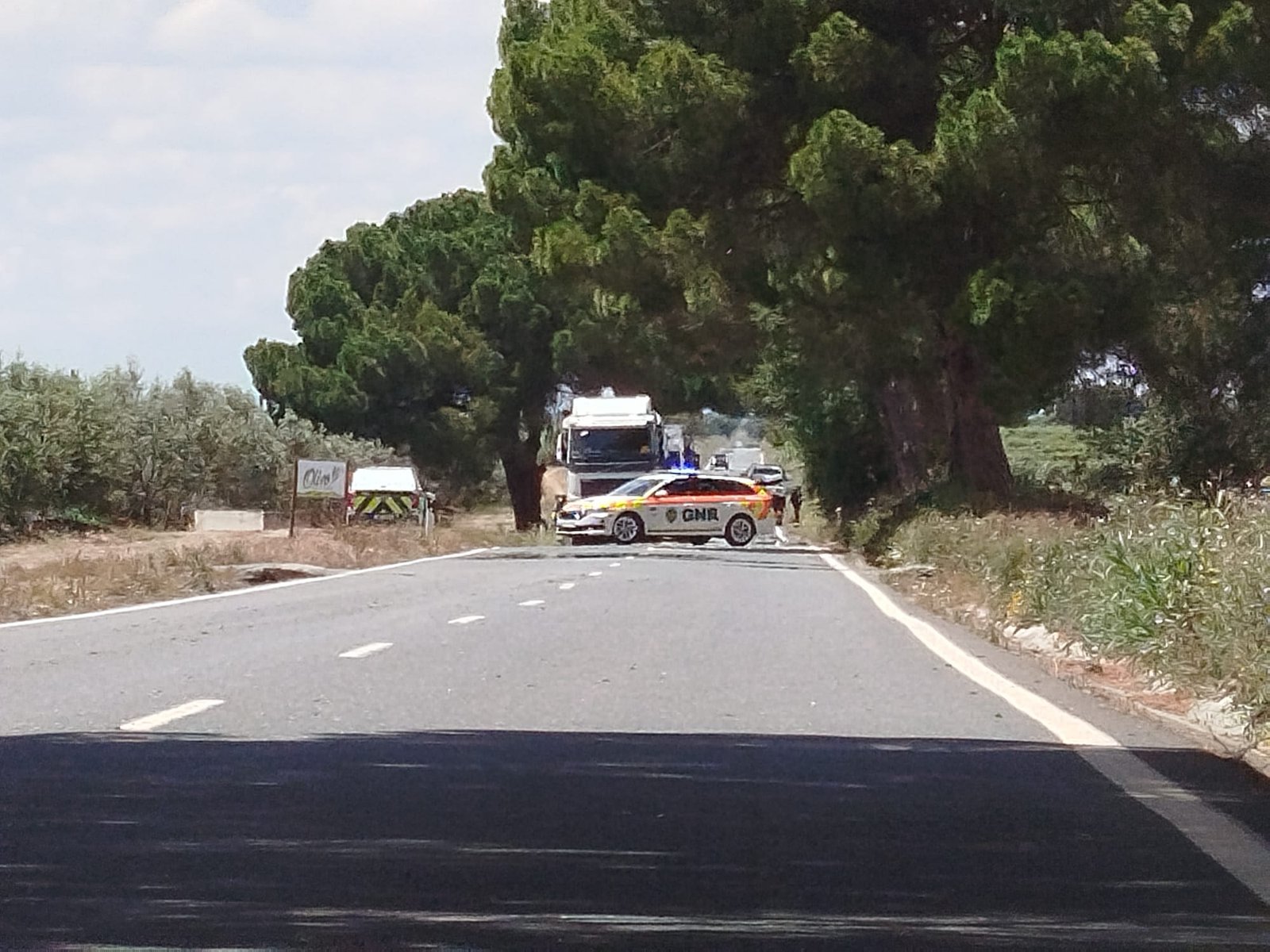 Colisão entre veículo ligeiro de mercadorias e um pesado faz uma vítima mortal na EN121 em Ferreira do Alentejo