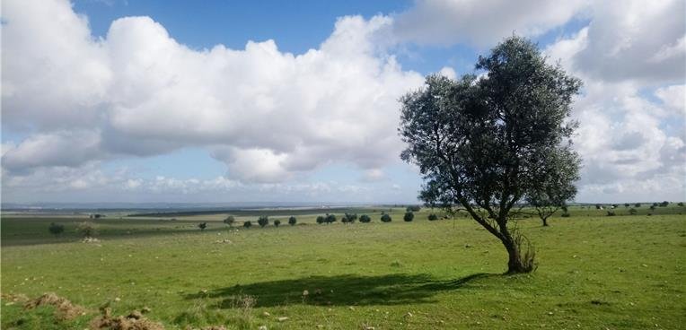 Caminhada “Do Céu à Terra” liga aldeia ao montado em São Matias