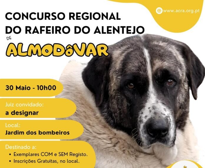 concurso rafeiro