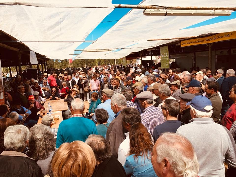 Feira de Garvão: Domingo de encerramento com Jorge Guerreiro, Cante ao Baldão e tradições rurais