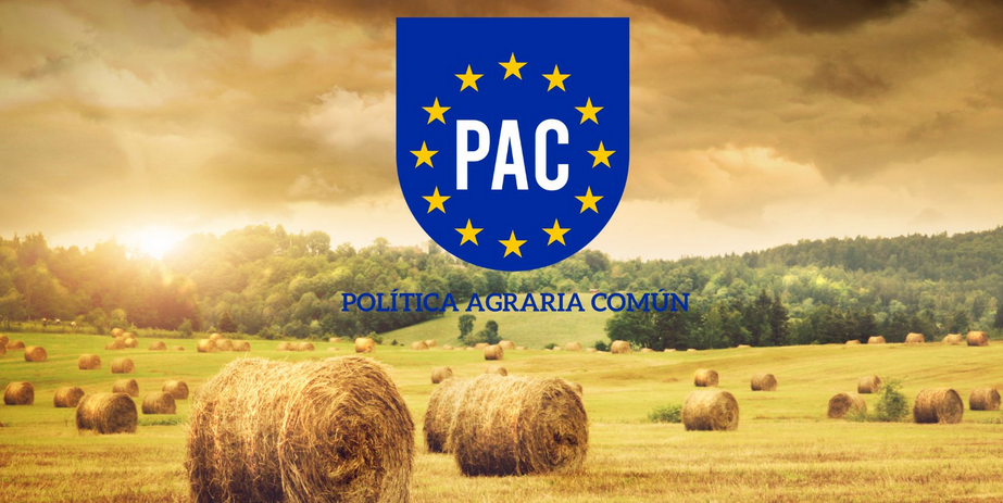 “Os princípios da PAC nunca interessaram à agricultura portuguesa” lamenta Rui Veríssimo