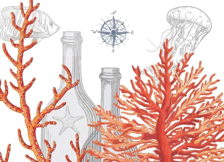 Sines volta a receber experiência única de enoturismo subaquático nos dias 19 e 20 de junho