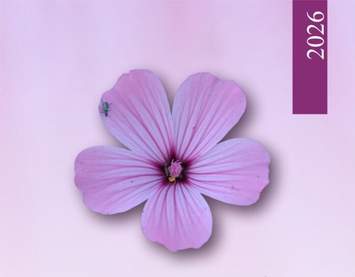 Exposição sobre a flora do baixo alentejo 2026 cartaz