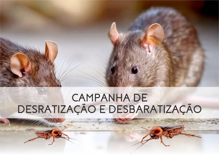 Vidigueira promove nova campanha de desratização e desbaratização no concelho