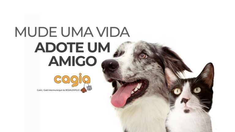 CAGIA da Resialentejo “é uma exceção a nível nacional” na recolha e adoção de animais