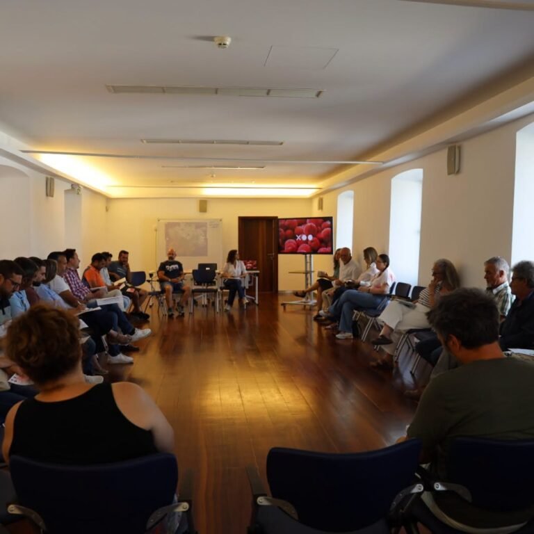 Almodôvar reúne agentes locais para construir a Rota dos Saberes e Sabores do Medronho