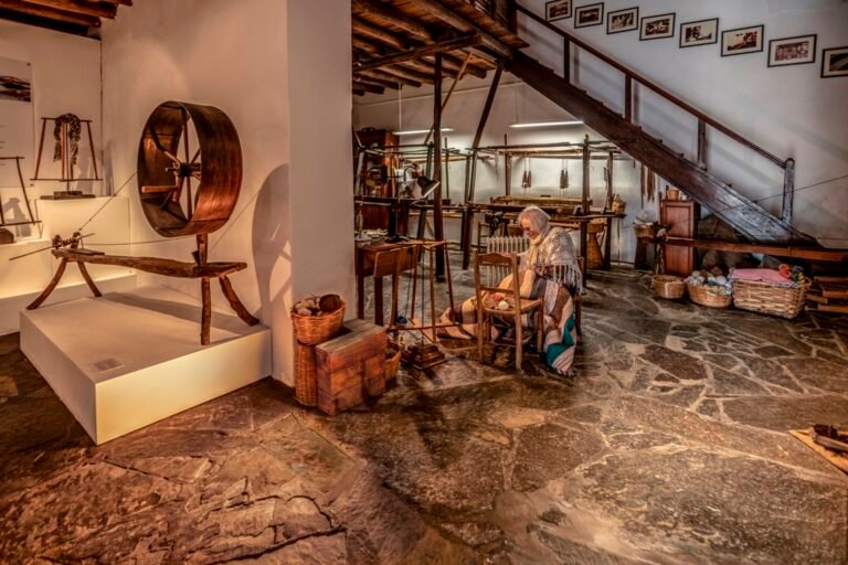 Os museus estão mais atrativos “porque se abriram à comunidade” afirma Lígia Rafael